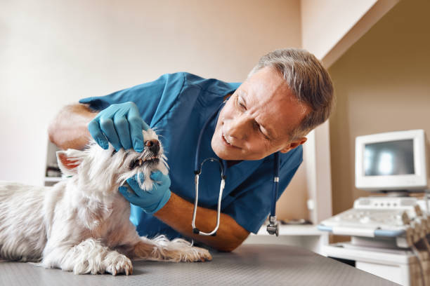 Best Weekend Emergency Dentist in Baker City, OR